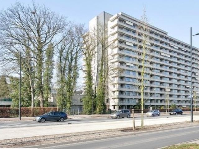 appartement for rent Eindhoven Herman Gorterlaan