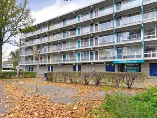 appartement for rent Haarlem Brammershoop