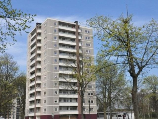 appartement for rent Haarlem Ierlandstraat
