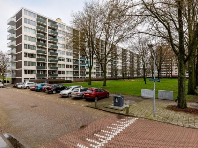 appartement for rent Haarlem Ierlandstraat