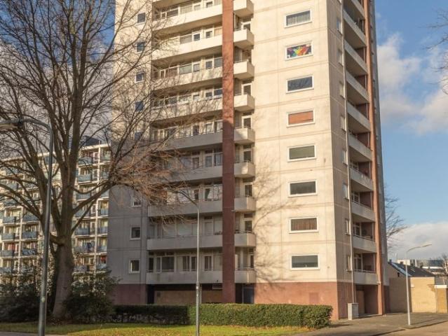 appartement for rent Haarlem Schotlandstraat