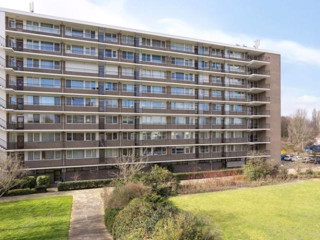 appartement for rent Leiden Apollolaan