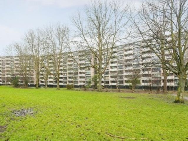appartement for rent Leiden Jan Luykenlaan