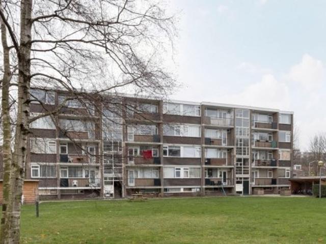 appartement for rent Leiden Mozartstraat