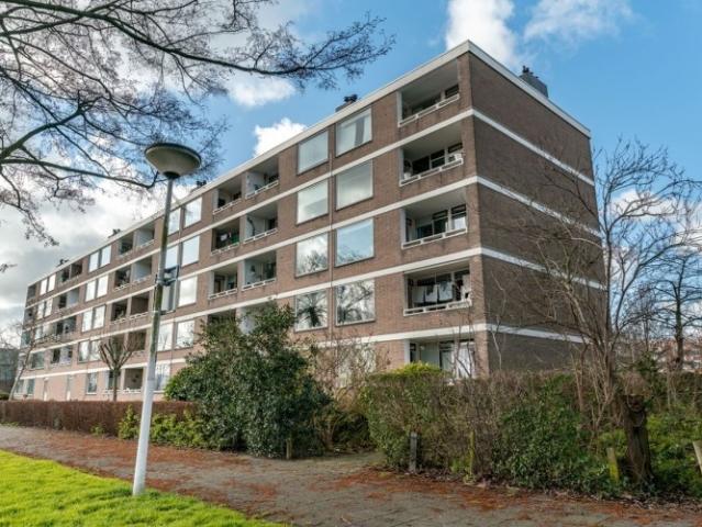 appartement for rent Leiden Paramaribostraat