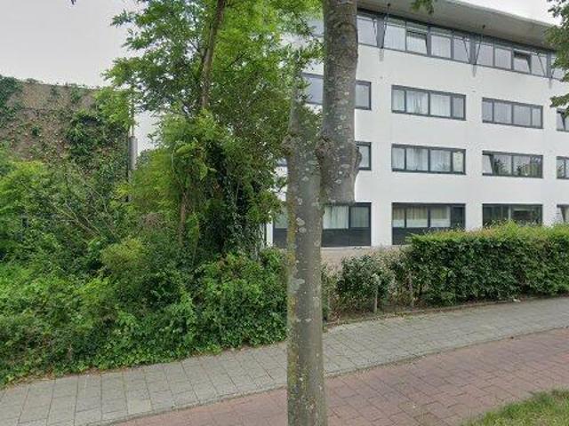 appartement for rent Lisse Haven
