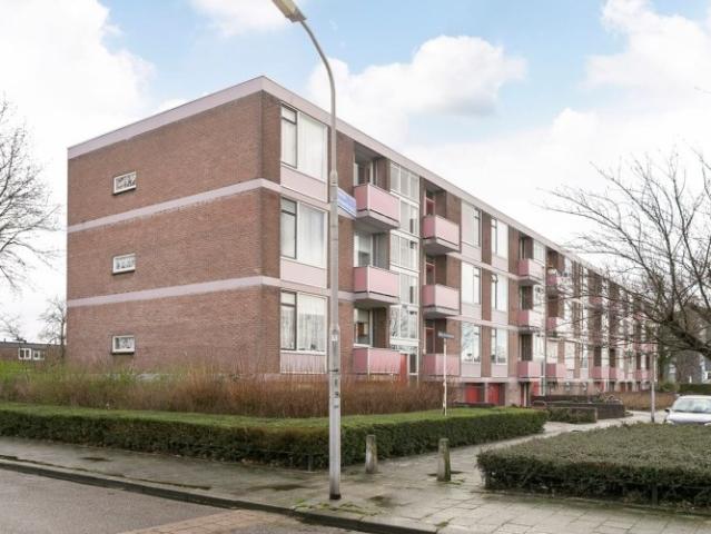 appartement for rent Nijmegen Domela Nieuwenhuisstraat