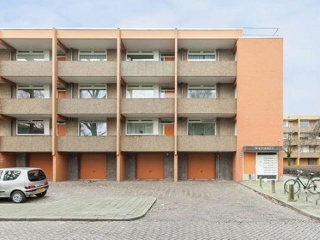 appartement for rent Nijmegen Meijhorst