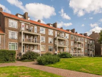 Rubroek, Gemeente Rotterdam, Zuid-Holland