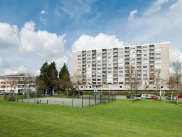 Struisenburg, Gemeente Rotterdam, Zuid-Holland