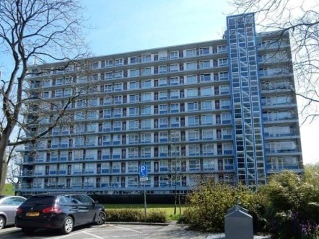 appartement for rent Rotterdam Burgemeester Hazenberglaan