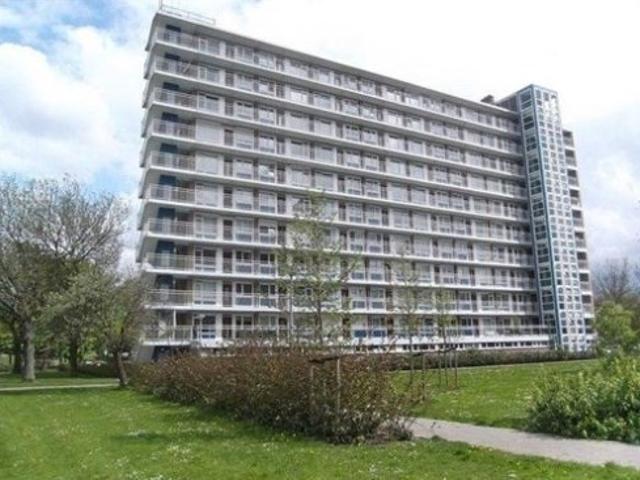 appartement for rent Rotterdam Burgemeester Hazenberglaan