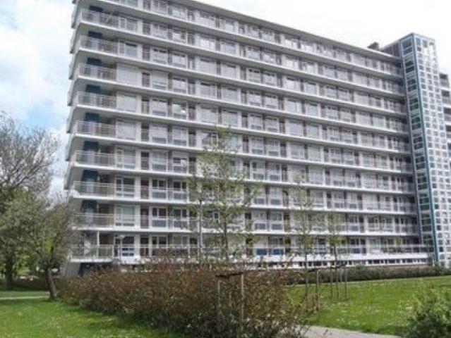 appartement for rent Rotterdam Burgemeester Hazenberglaan
