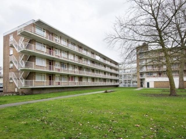 appartement for rent Rotterdam Heymansstraat