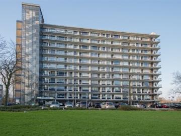 Bichon Van IJsselmondelaan, Zomerland, Gemeente Rotterdam, Gemeente Rotterdam, Zuid-Holland