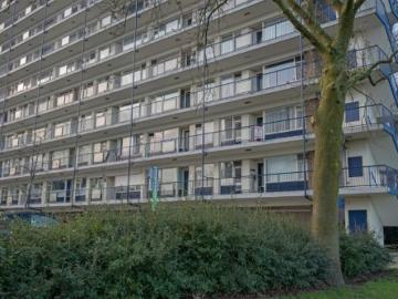 Bichon Van IJsselmondelaan, Zomerland, Gemeente Rotterdam, Gemeente Rotterdam, Zuid-Holland