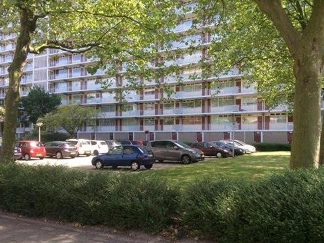 appartement for rent Rotterdam Spuikreek