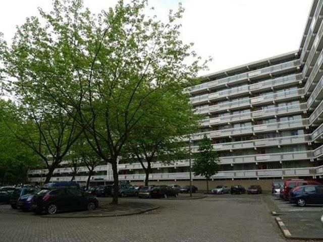 appartement for rent Rotterdam Zernikeplaats