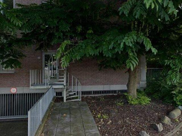 appartement for rent Sittard Wilhelminastraat