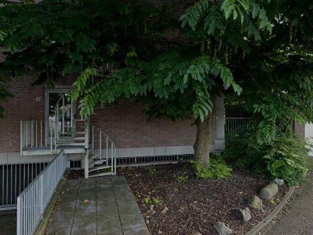 appartement for rent Sittard Wilhelminastraat
