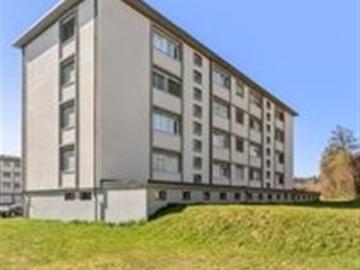 Appartement fraîchement peint spacieux et lumineux