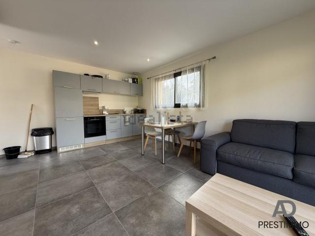 Appartement, Furiani