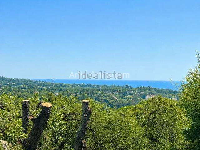 Appartement, Grimaud