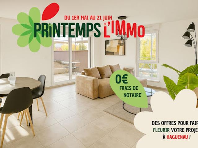 Appartement Haguenau 4 pièces HIKARI
