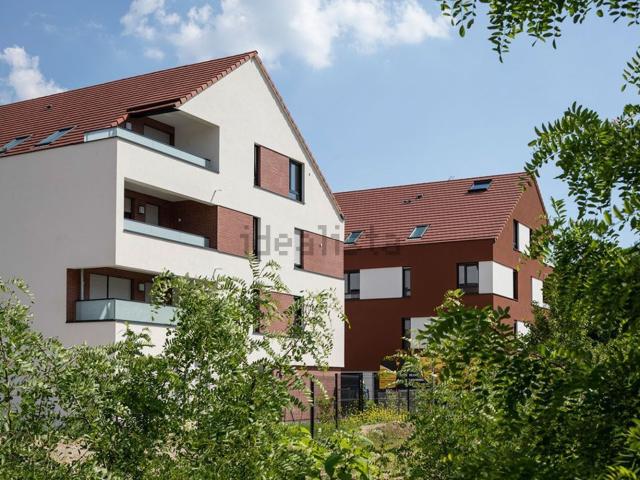 Appartement, Haguenau