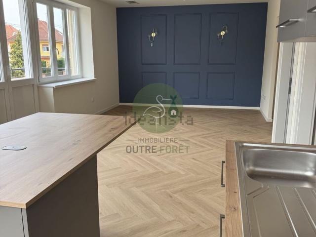 Appartement, Haguenau