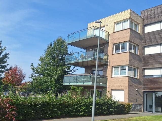 Appartement, Hem
