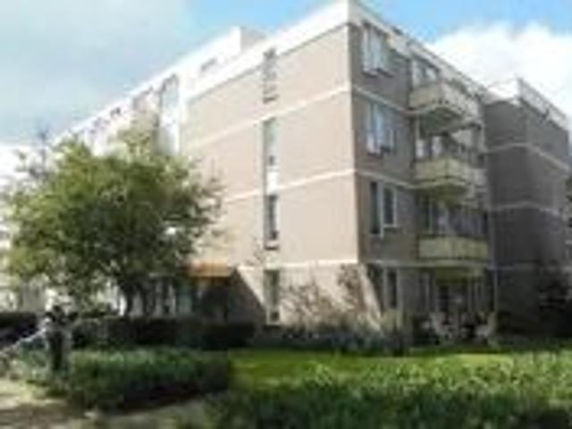 Appartement Heerstraat Centrum 39 C, Stein À louer