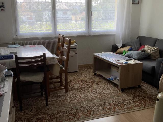 Appartement HOENHEIM 2 pièces 52 m2 avec cave !
