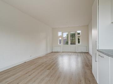 Wilhelminapark, Hagelbuurt