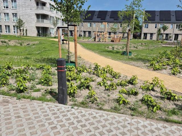 appartement in Barendrecht, Trompstraat
