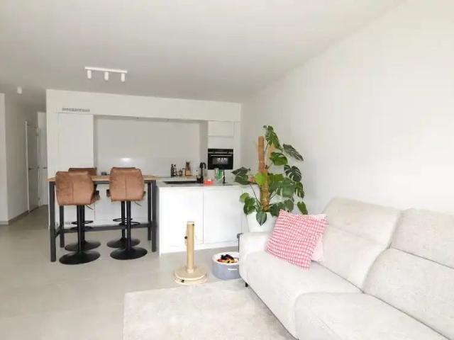 Appartement in Boortmeerbeek