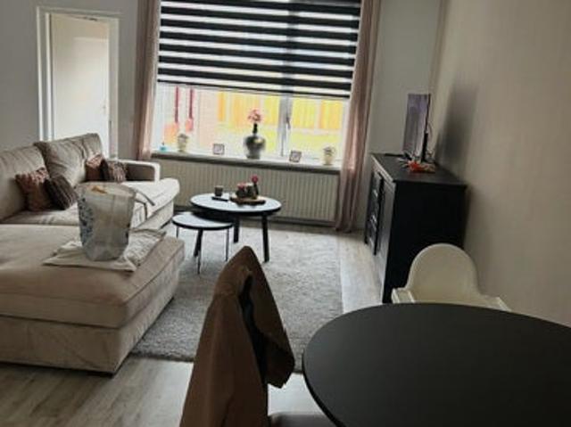 appartement in de Lutte, IJsvogelstraat