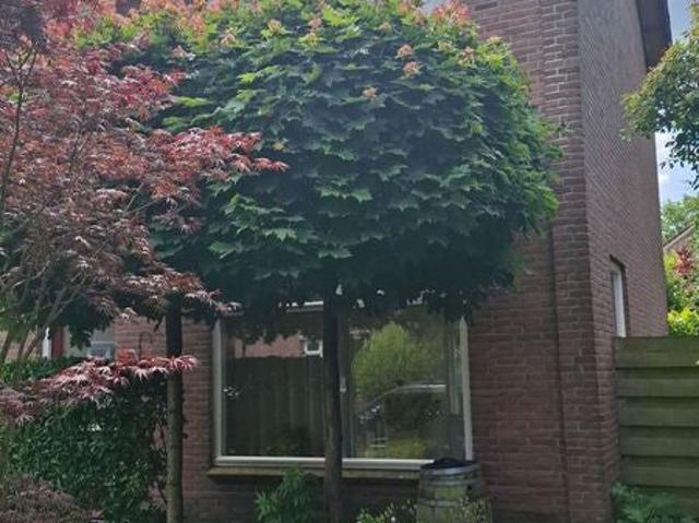 appartement in Gytsjerk, Sjoerdastrjitte