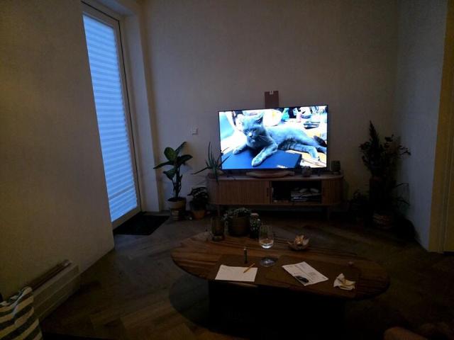 appartement in Hillegom, Talmastraat