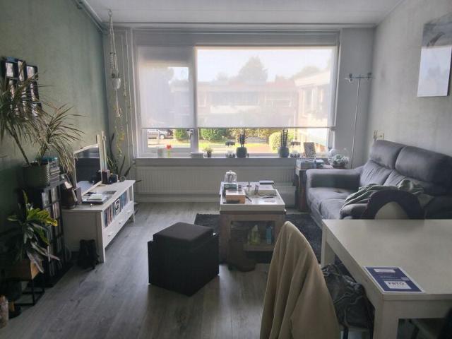 appartement in Hillegom, Maartensheem