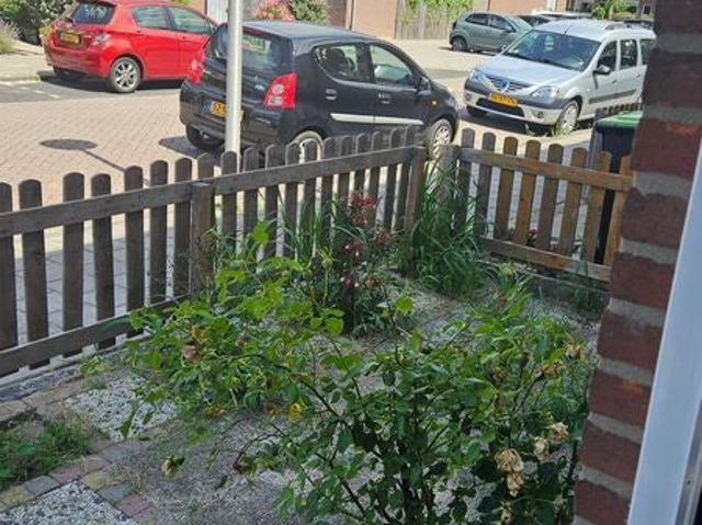 appartement in Spijkenisse, Berkenstraat