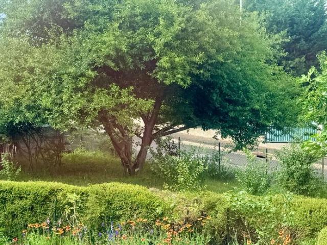 Appartement + jardin à Cournon d'auvergne 3 pièce s