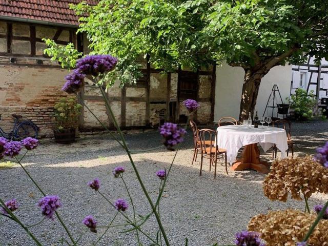 Appartement, Kauffenheim