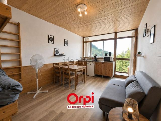 Appartement, La Bresse