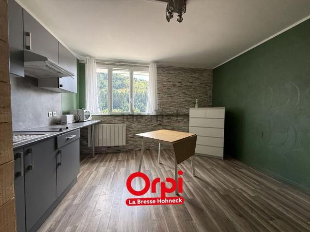 Appartement, La Bresse