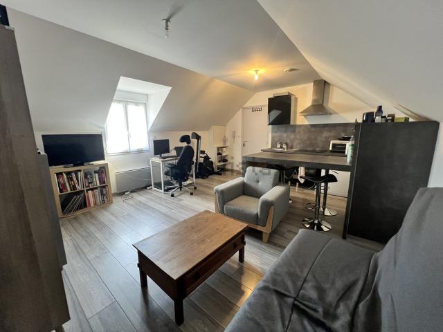 Appartement, La Chapelle Saint Mesmin