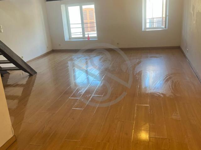 Appartement La Cote Saint André 2 pièces 55.84m2