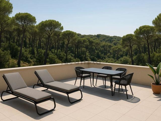 Appartement, La Seyne sur Mer