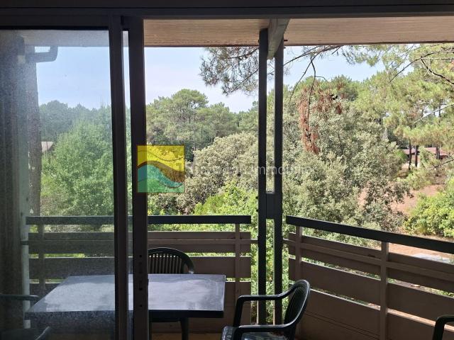 Appartement, Lacanau
