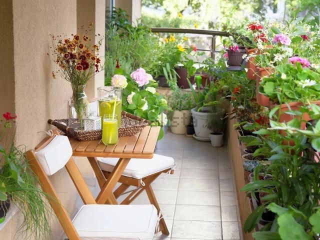 Appartement, Le Chesnay Rocquencourt